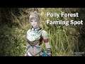 [Live] SPOT REVIEW | Polly Forest (Money/EXP/SP) จุดฟามป่าโพลี่ Black Desert Online