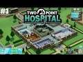 Two Point Hospital #3 Lower Bullocks