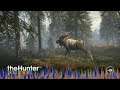 theHunter COTW: Highlights and Diamonds: 06/24/2021