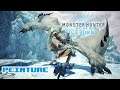 La peinture - Monster Hunter Iceborne
