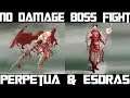Esdras and Perpetua no damage boss fight, Perpetua should die first, blasphemous