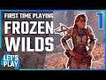Horizon Zero Dawn: First Time Playing The Frozen Wilds (PS5)
