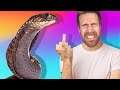 F!%& SNAKES... - Slither.Io
