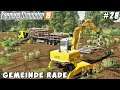Weed control, selling logs | Gemeinde Rade | Farming simulator 19 | Timelapse #27