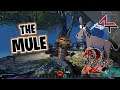 The Mule  - Guild Wars 2 | Longer term solution for storage problems