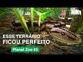 O Melhor Terrário Que VOCÊ Já Viu - Planet Zoo #3 | HomineK1 (Gameplay Time-lapse)