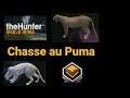 Une chasse au Puma INCROYABLE !! (The Hunter COTW)