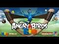 🐦🐒Let's Play Angry Birds Rio. Walkthrough. Android longplay.