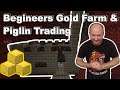 Minecraft | Beginners Gold Farm | 1.16.5 | Java