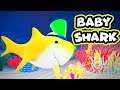 Baby Shark | Kids Songs and Nursery Rhymes | THE BEST Song for Children