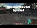 Guild Wars Mantid Farm Explained