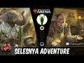 Selesnya Adventure: Going too wide for Oko