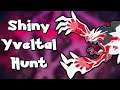 LIVE! SHINY YVELTAL HUNT w/ viewers | Dynamax Adventures | GIVEAWAY | Pokemon Sword & Shield |