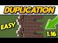 Minecraft 1.17 Multiplayer Duplication Glitch #Shorts