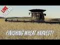 🔴Harvesting the last field of wheat on County of Forty Mile by Camil - EP8