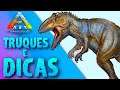 DICAS DE ARK: Survival Evolved !! Giganotosaurus [E20] #Shorts