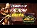 TBC Classic WOW - Blood Elf Paladin BETA Game Play