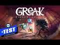 TEST du jeu Greak: Memories of Azur - PS5, Xbox Series, Switch, PC