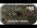 Dawn of Man ➤ #55 Bier brauen *PC/HD/DE*