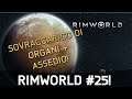 Rimworld Stagione 2 | Ep#25 | Sovraccarico di Organi + ASSEDIO!