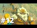 Goran City | The Legend of Zelda: Breath of the Wild Gameplay Part 12