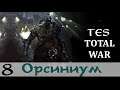 TeS Total War 2.02 - Враги давят новыми сильными армиями! (Заказ)