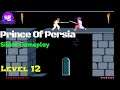 Prince Of Persia Level 12