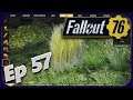 ☢ Fallout 76 🤯 | Garden Remodel & Searching For Carrots | Ep 57