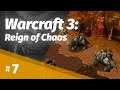 Warcraft 3: Reign of Chaos, версия 1.00 (часть 7)