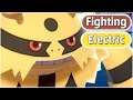FULL PSEUDO FIGHTING TYPE POKEMON TEAM! ( Pokemon That Should Be Fighting Type )
