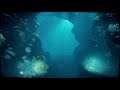 Underwater VR Test | Dreams Creation By Melkiore