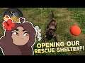 Opening Our Own ANIMAL RESCUE Shelter?! 🐱🩹 Animal Shelter Simulator Prologue