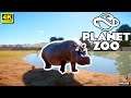 Planet Zoo FR 4K. L'enclos des Hippopotames en Time Lapse.