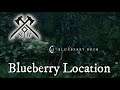 Blueberry Location - Noble Reach - New World