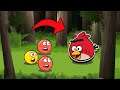 3 RED BALL 4 Angry Bird fight ColorFull Drunk ball