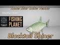 Blacktail Shiner - Lone Star Lake Texas - Fishing Planet