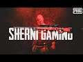 CHALO YE BHI THIK HAI 🦁 | BGMI LIVE | Sherni Gaming
