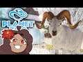 The Snowy World of Ice-Ice Outpost!! 🐏 Planet Zoo: Ice Ice Outpost • #1