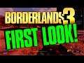 Borderlands 3: First Look, Mouse Issues, DirectX 12 Fix, State of the Walkthrough Address