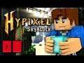 SKYBLOCK HYPIXEL : ON DEVIENT FORT ! #08