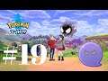 Pokemon Sword #19 FIRST IMPRESSION van de CROWN TUNDRA!!!
