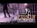 Découverte de Prison Simulator  ( Prologue )