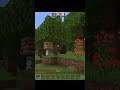 Whats Inside of The Minecraft Beehive #shorts #Minecraft