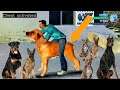 Dog 🐕Bike ! Hidden Secret Cheats |GTA Vice City| Shakir Gaming New Code 2021