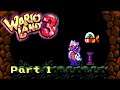 Sucked into a Music Box! Let's Play Wario Land 3 Part 1
