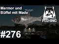 Marmorkarpfen und Büffelfisch mit Maggot Rig 🎣🐋 | Russian Fishing 4 #276 | Deutsch | UwF