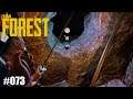 The Forest 073 | LPT | Deutsch