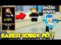 I Got The RAREST ROBUX PET In Anime Training Simulator Update 1 And It's SUPER OP!! (Roblox)