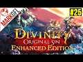 Let's Play Divinity: Original Sin (Enhanced Edition) - Part 25