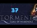 Zagrajmy w Torment: Tides of Numenera - odc. 37